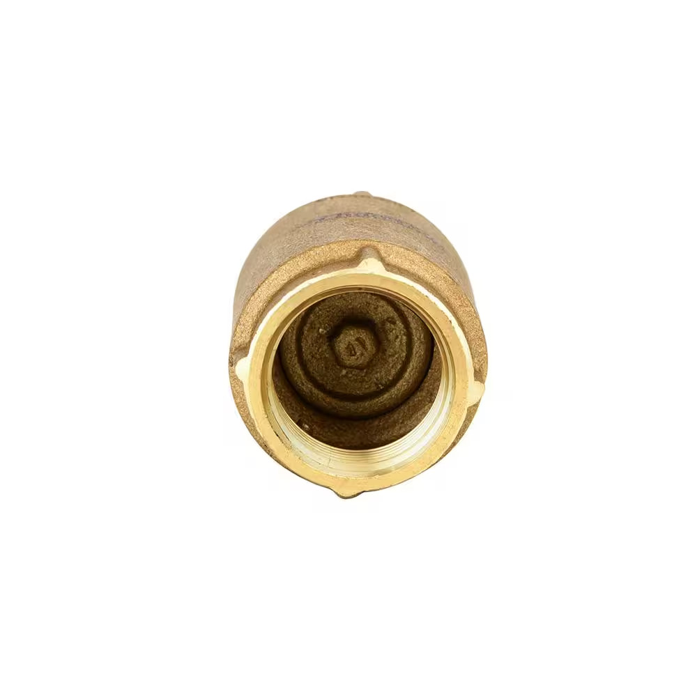 1 In. Brass Check Valve