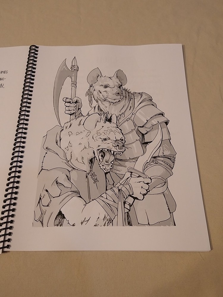 Dungeons and Dragons Coloring Book