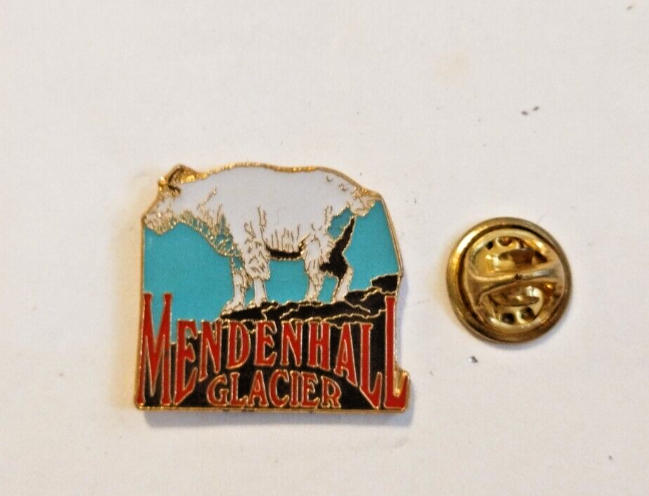 Mendenhall Glacier pin collectable Souvenir