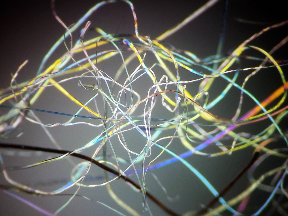 Microscope 32 mm Polarizing Filter Set - Affordable Must Have Accessory Set!