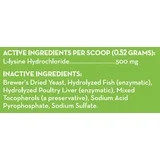 Immune Support L Lysine Powder for Cats