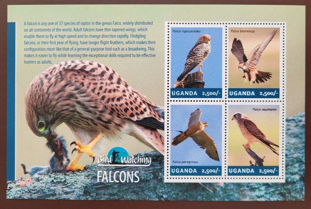 Uganda 2014 / Birds - Falcons  / 4v ms