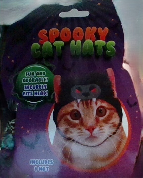 cat hat for cats