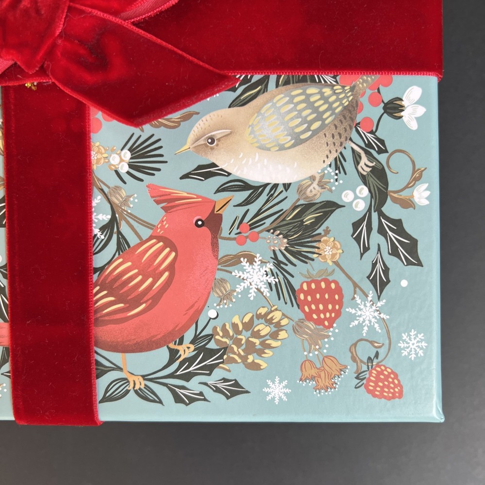 Punch Studio Holiday Keepsake Gift Box Cardinal Pinecones Berries Velvet Bow