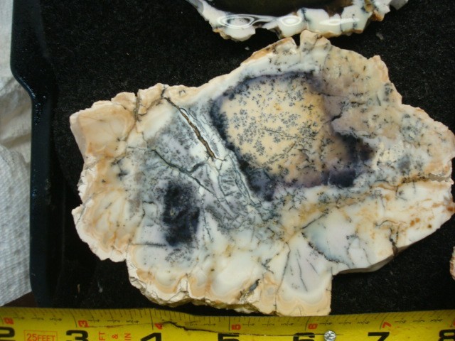 turkish opal slabs