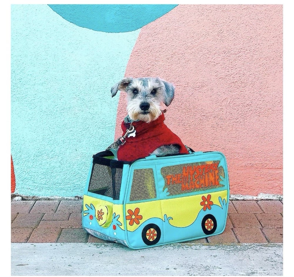 Scooby doo Pet Carrier