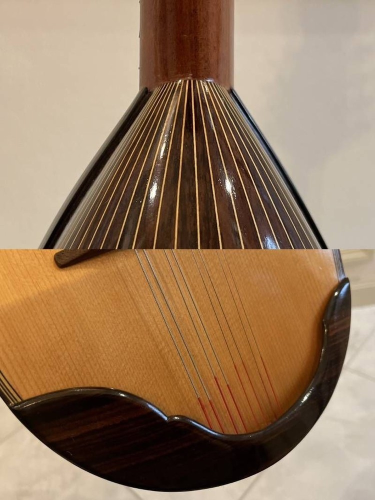 Minoru Noguchi Mandolin String Instrument with Hard Case