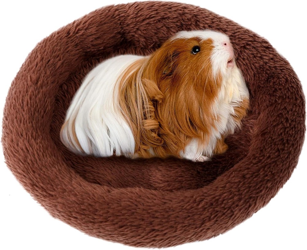 Guinea Pig & Hamster Beds - Hedgehog, Squirrel, Tortoise & Lizard Bedding