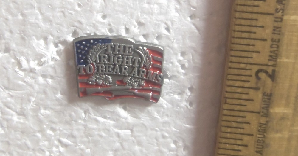The Right to Bear Arms Pin