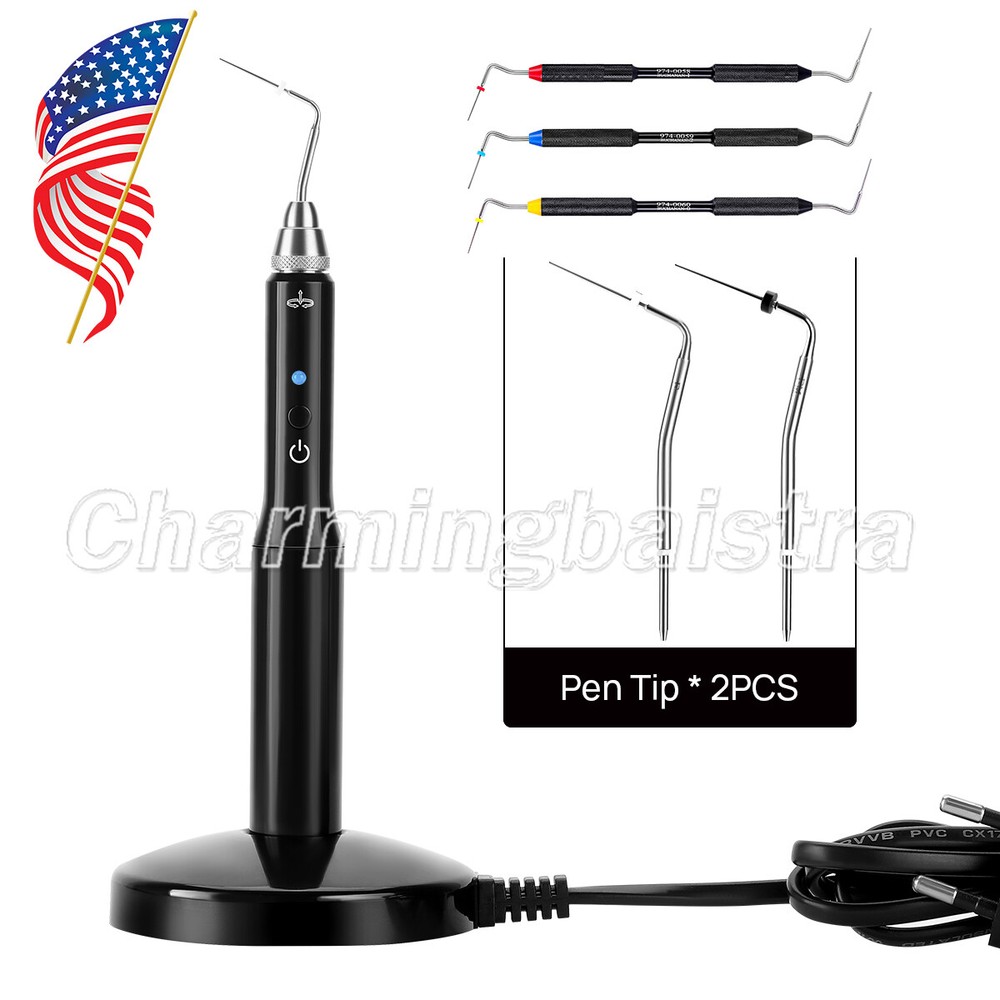 Dental Obturation Percha Endo Heated Pen/Buchanan Hand Plugger Tips