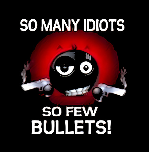 So Many Idiot So Few Bullets!   -MAGNET