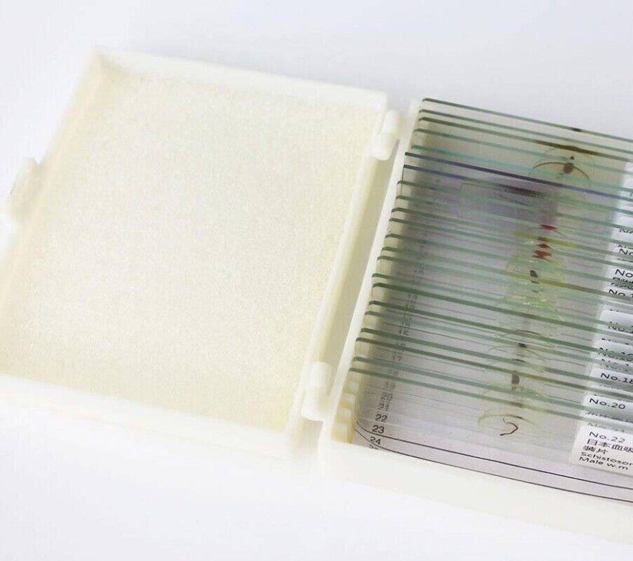 Parasites Microscope Specimen Slides for Parasitology Teaching Research 25pcs