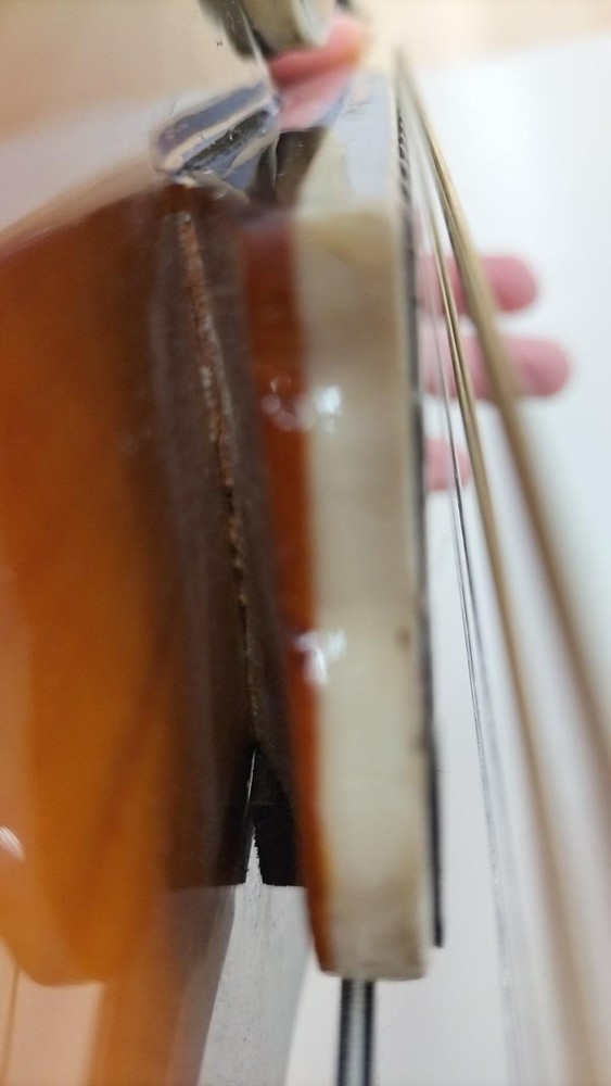 ORTEGA RMFE90TS Mandolin