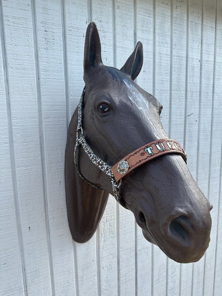Personalized Nylon Horse Halter