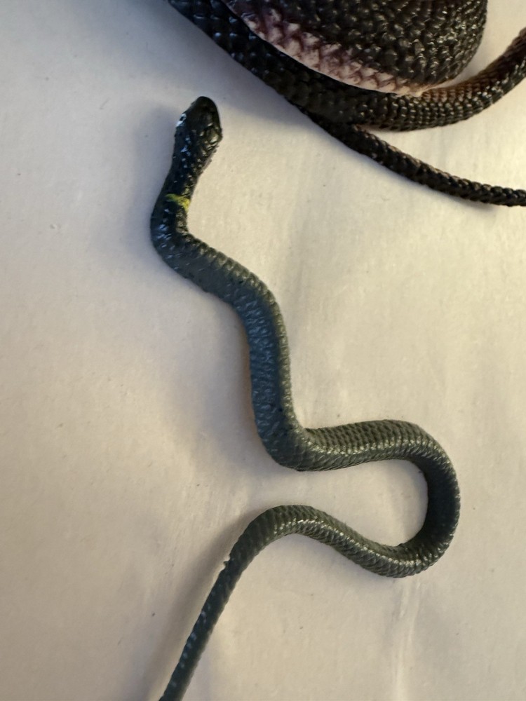 Black Rubber Coiled Snakes set of two