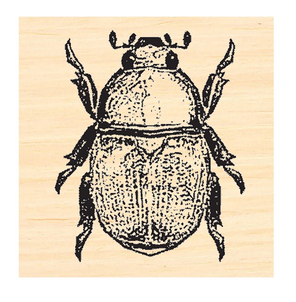 P137 Scarab Beetle rubber stamp