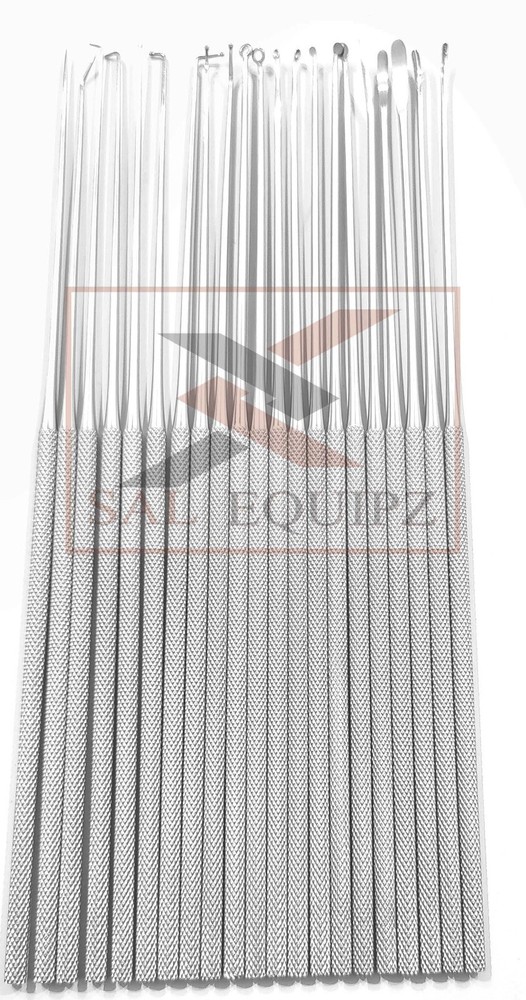 Rhoton micro dissector expanded 19 pcs set Neurosurgery Instruments