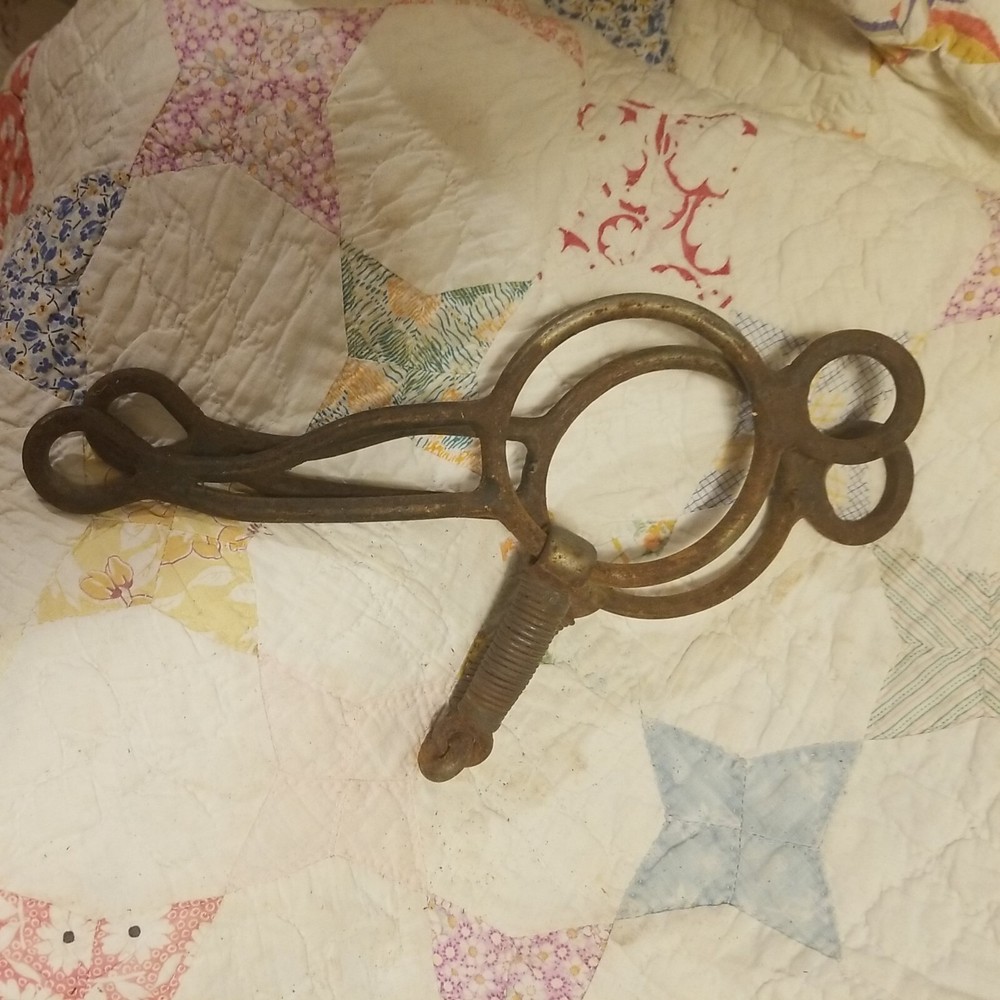 Old Unmarked Long Ring Bit