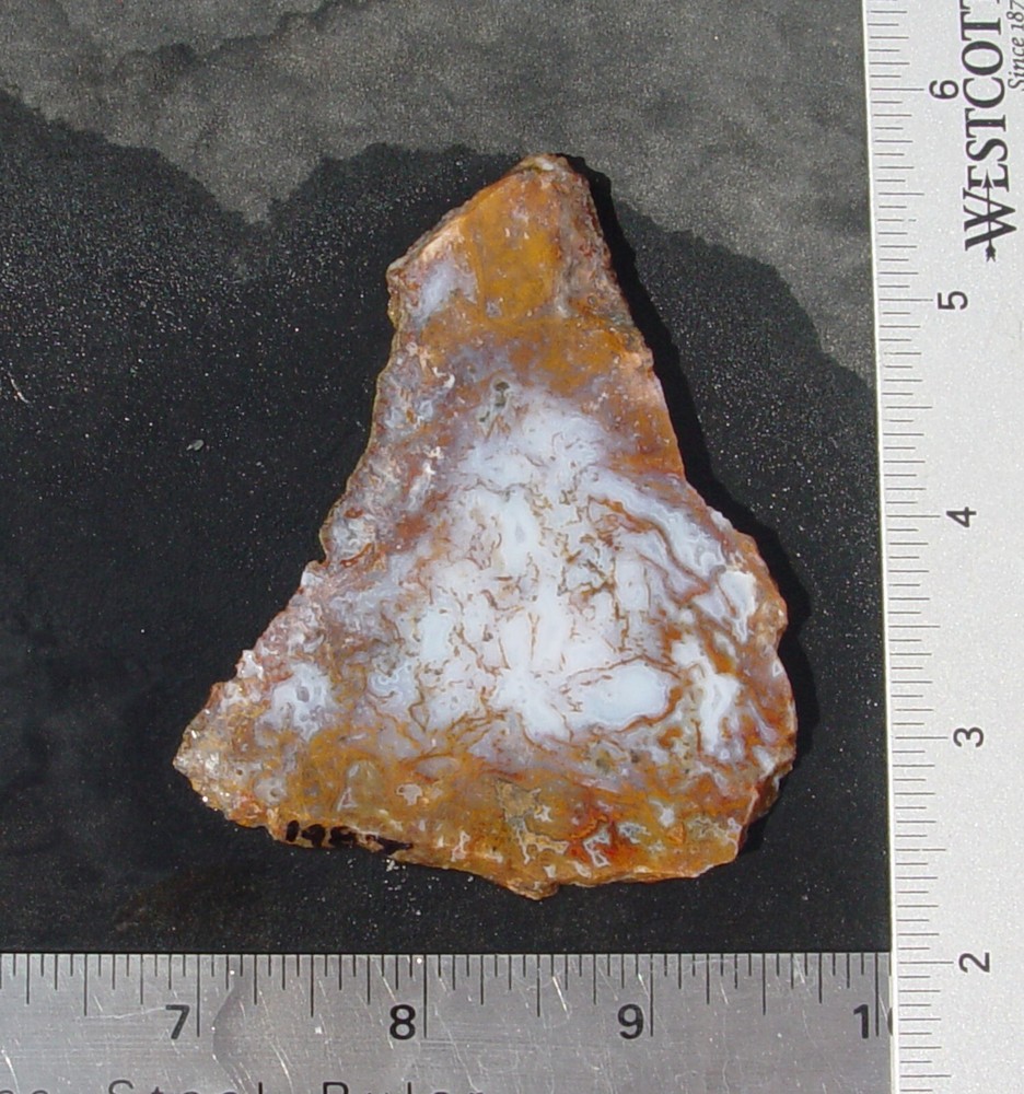Gold Moss Agate   Lapidary Slab                   1487