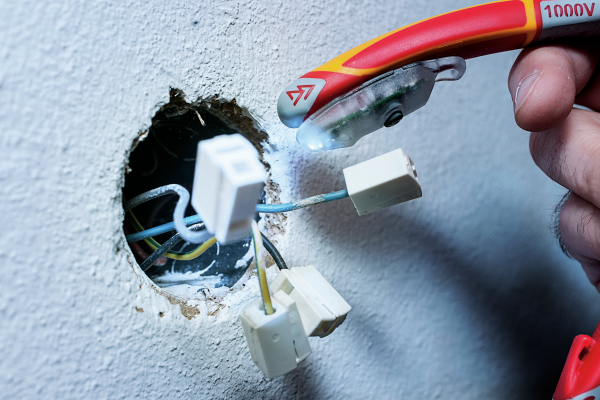 NWS E-Detector Contactless Voltage Tester + Flashlight