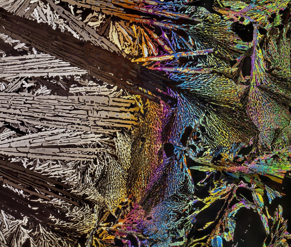 Microscope slide for polarized light, OXALIC ACID