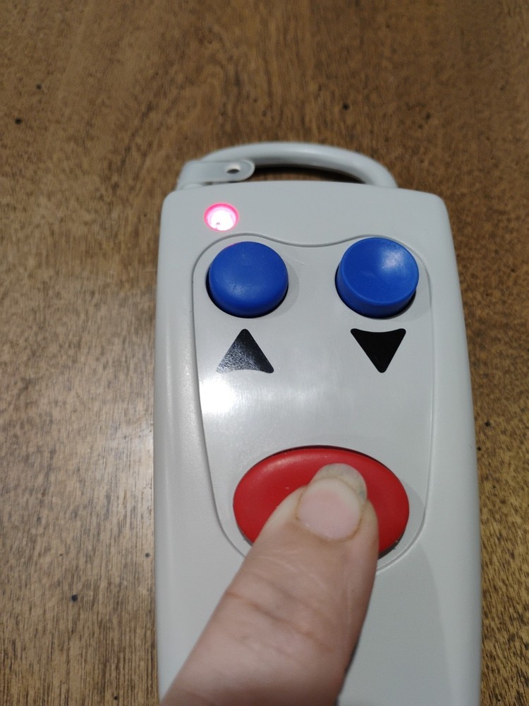 Acorn 180 Remote Controller Tested Works Battery Not Included