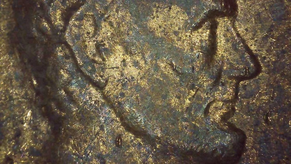 1979 D Lincoln Penny error collar break