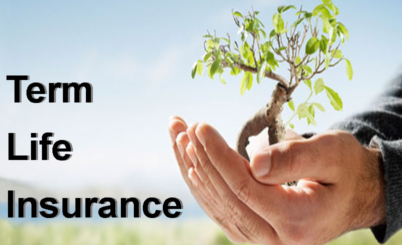 eterminsuance .com - Easy to Remember Insurance Domain Name