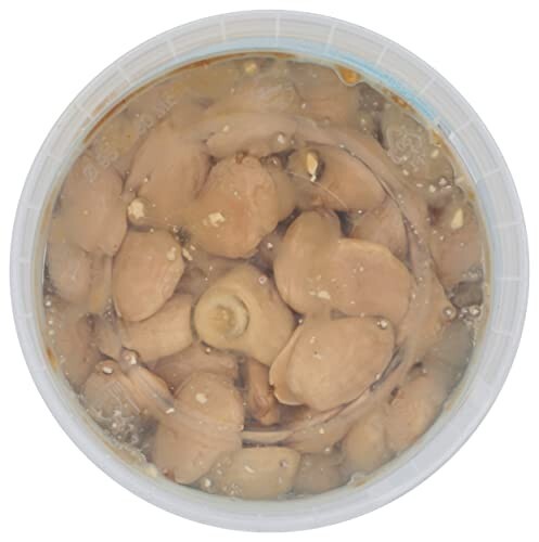 Mitica Marcona Almonds, Twelve 4 Oz Mini Tubs