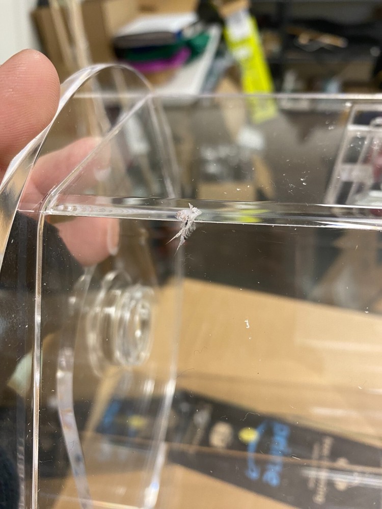 Used Small Acrylic Raffle Ticket Drum