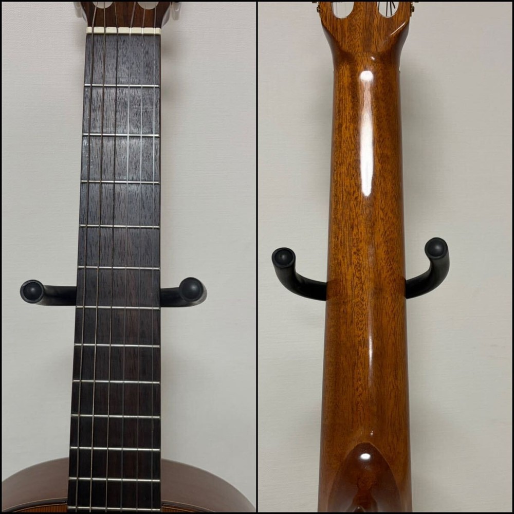 Jose Antonio Gut Classical Guitar Soft Case 6-String