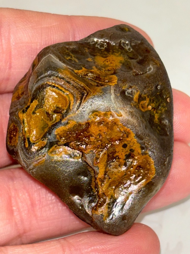 1.2 Ounce agate with Limonite husk