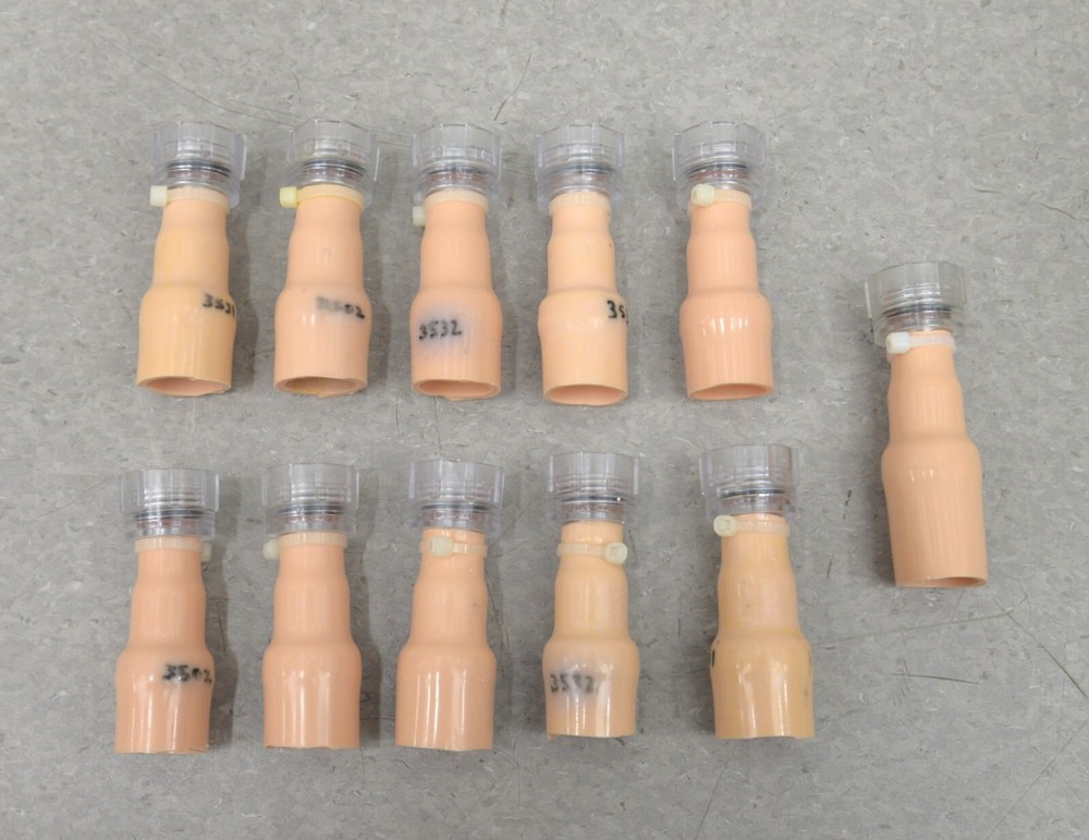 Laerdal Catheterization and Enema Task Trainer Accessories
