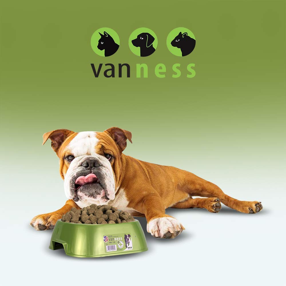 VNESS LGHTWGT DISH LG