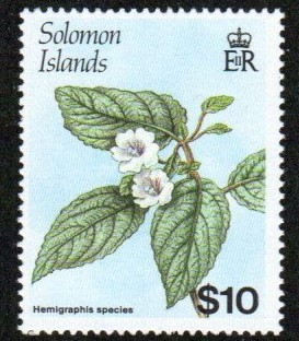 Solomon Islands Stamp 596A  - Flower