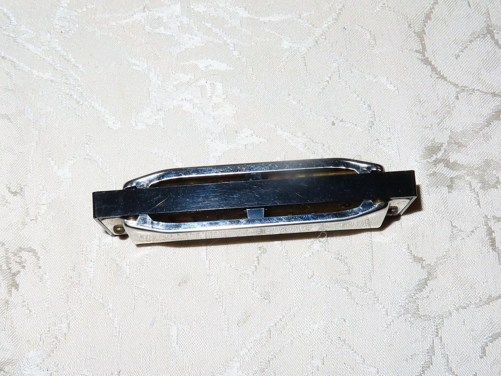 Hohner Special 20 Mouth Harmonic With Case!