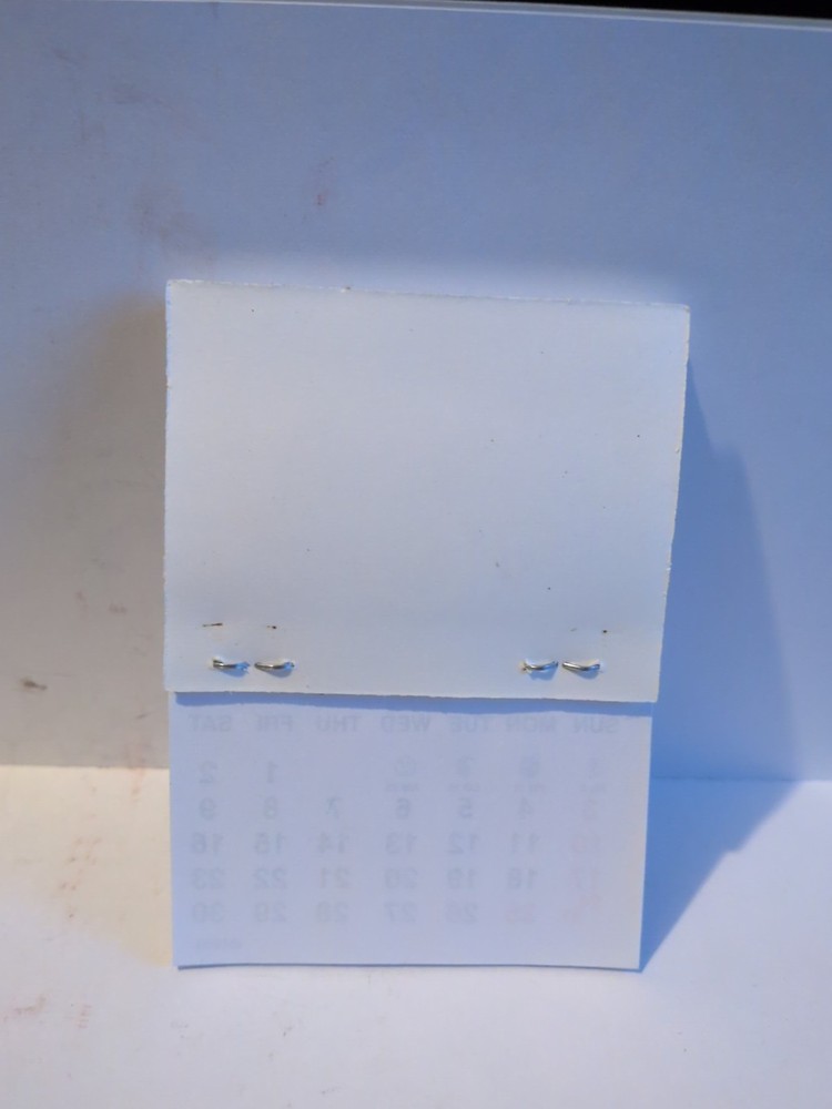Vintage 1999 - 2000 Mini Calendar