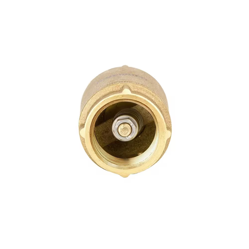 1 In. Brass Check Valve