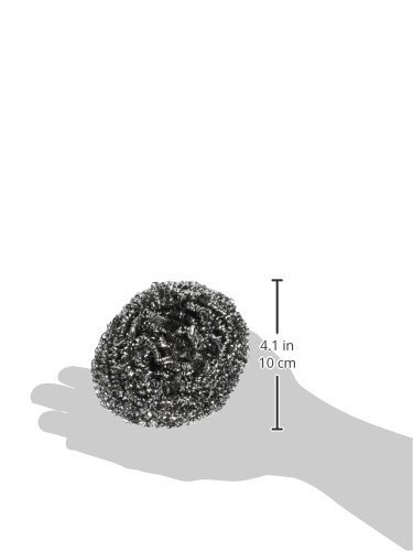 Stainless Steel Scouring Sponge 50gm