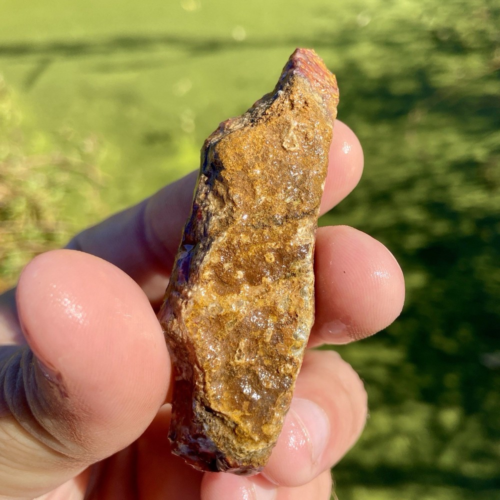 Sagenite Agate End Cut Vibrant!