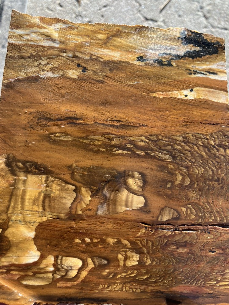 Biggs Jasper Slab (Oregon)