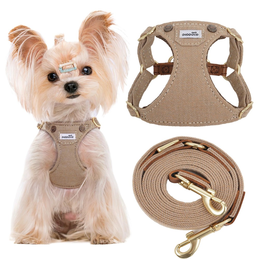 No Pull Small Dog Harness with Multifunction Dog Leash, Lightweight Soft Adju...