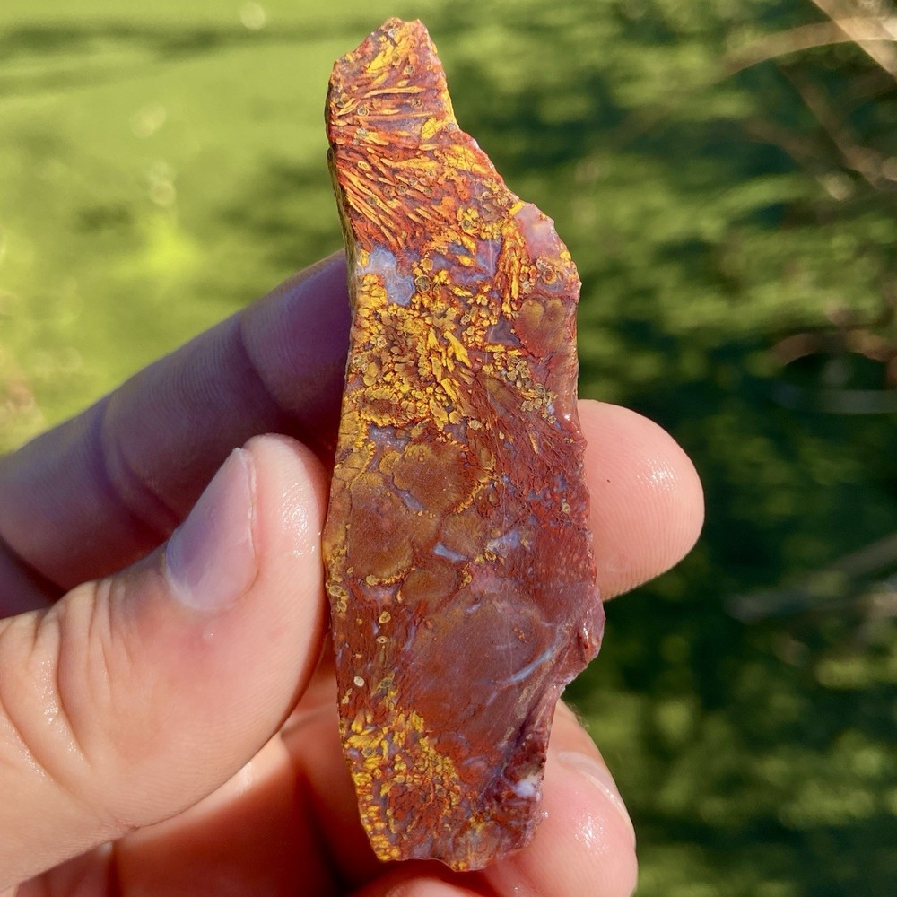 Sagenite Agate End Cut Vibrant!