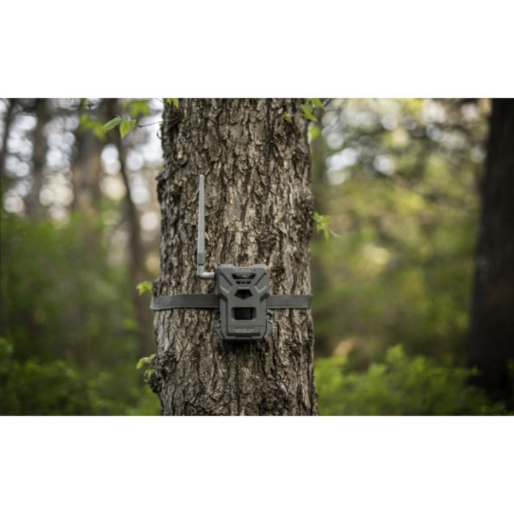 Spypoint FLEX-M US Solar Bundle FLEX-M Trail Camera and SPLB 10 Solar Panel