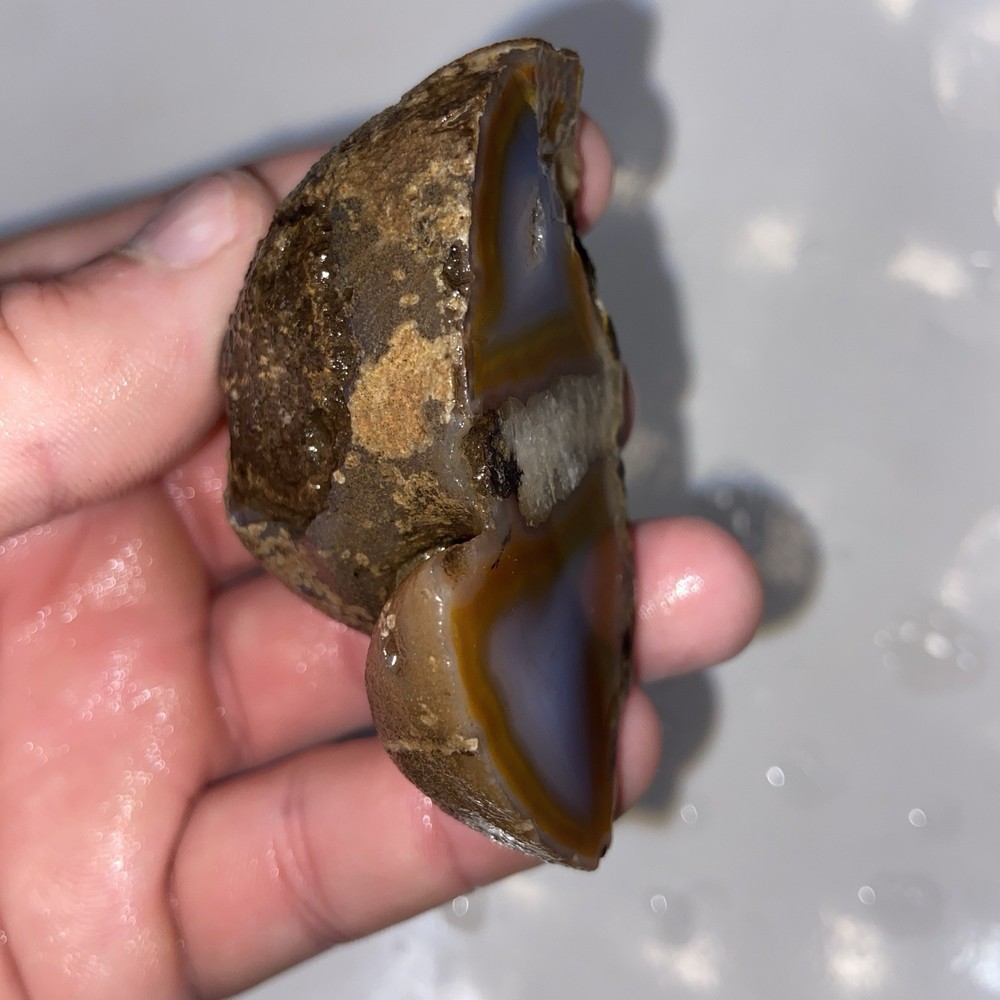 Very Unique Double Celled Agate Rough Stone 4 Oz