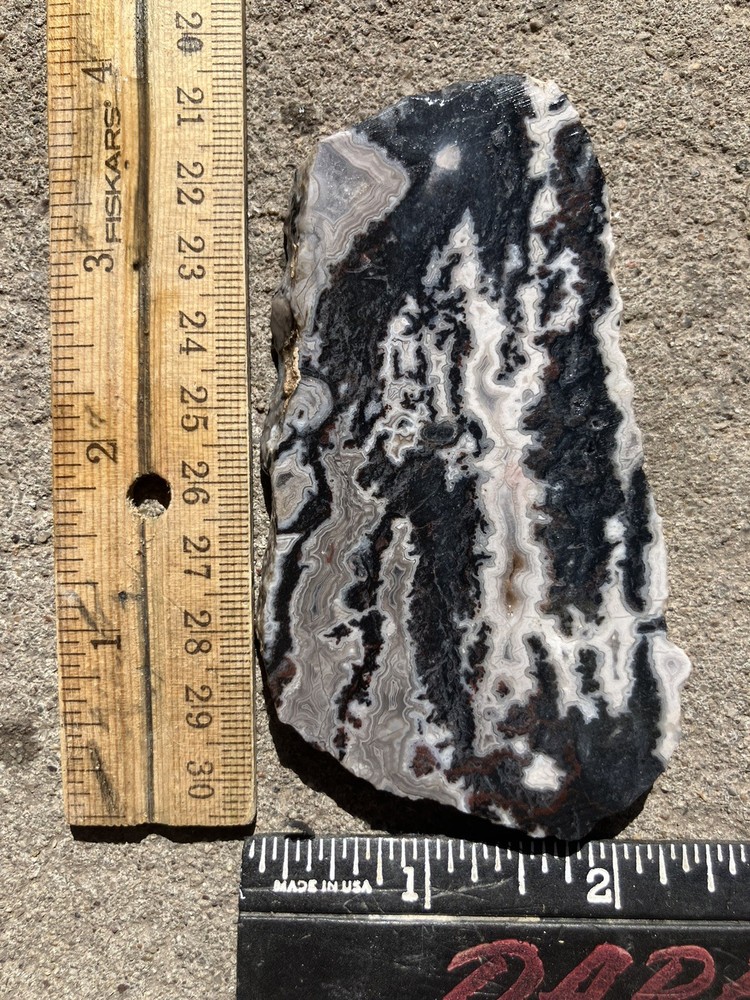 Zebra Jasper Slab