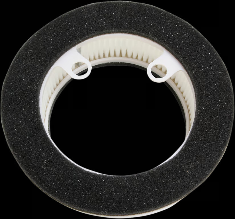 HiFlo Air Filter HFA4510 1011-3272 982732
