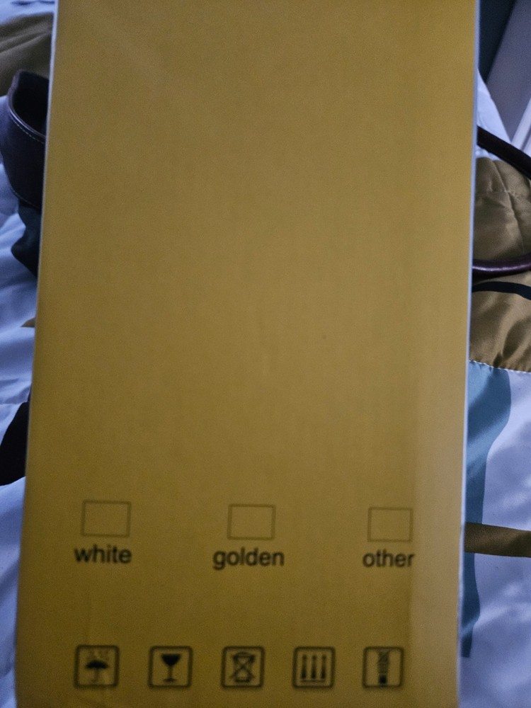 LED Mini Projector model AMX100