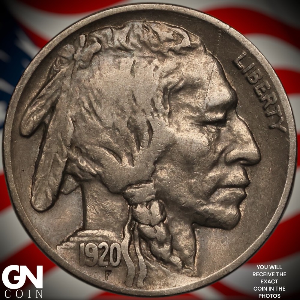 1920 P Buffalo Nickel A6516
