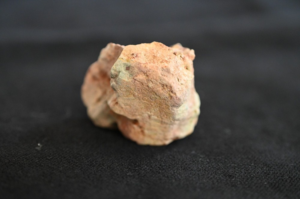 Moroccan Theropod Tooth in Matrix